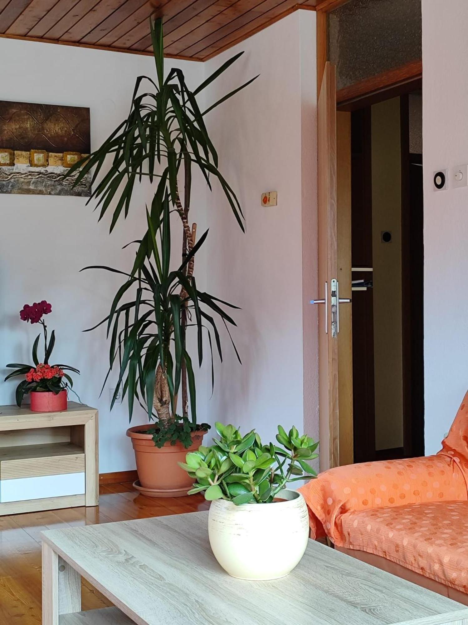 Apartment Kolman 톨민 외부 사진